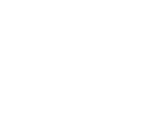 FACEX Consulting Group